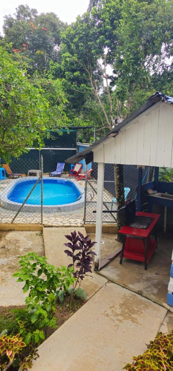 Cabana Vistas Del Bosque Jarabacoa Eksteriør billede